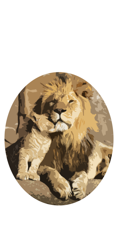 Apa a hős 2 transparent