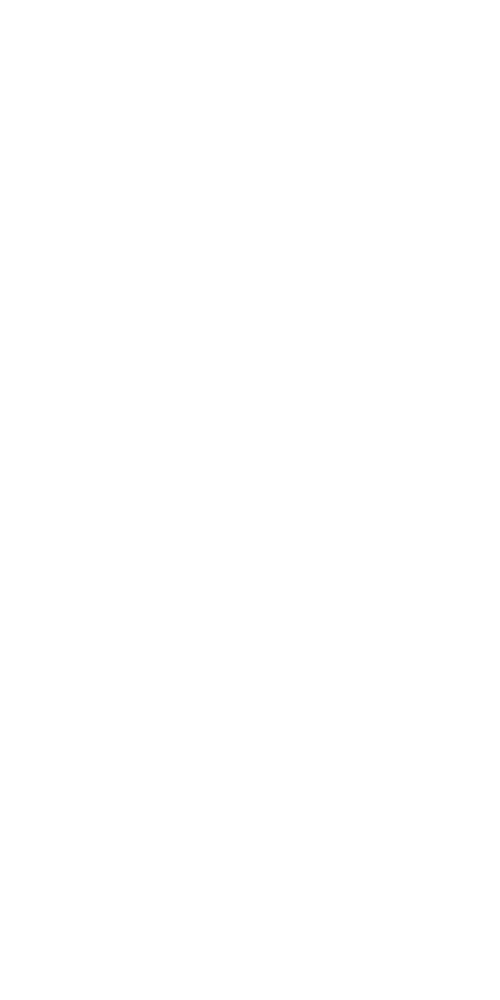 Audis apa transparent