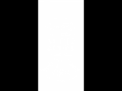 Audis apa transparent