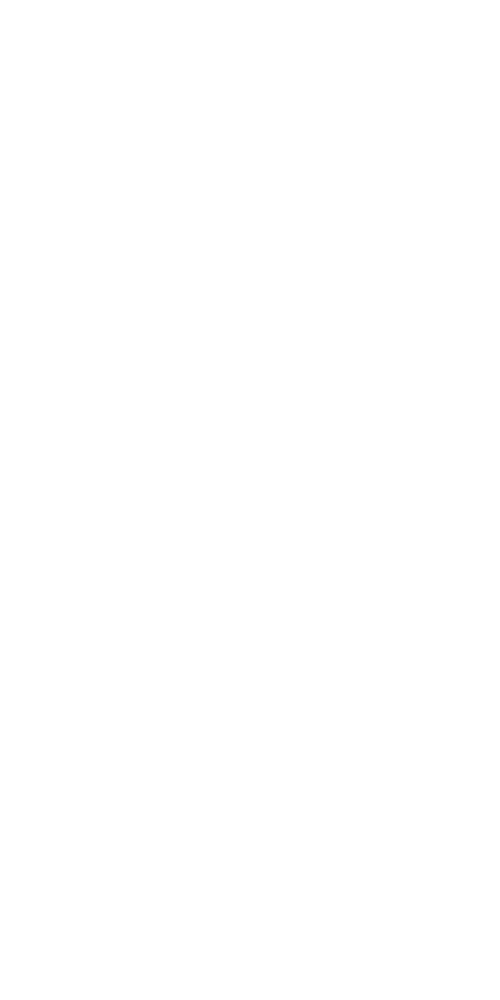 Kamionos papa 2