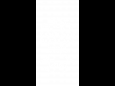 Kamionos papa 2