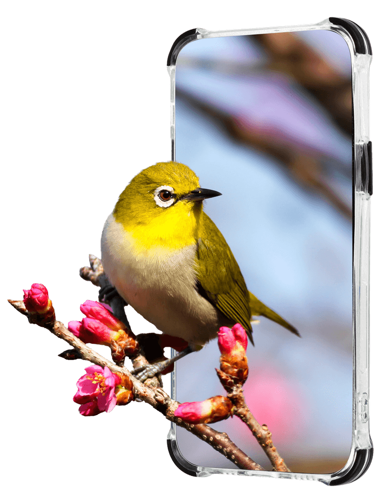 Samsung Galaxy A52 4G (SM-A525F) extra ütésálló Akvarell TPU telefontok